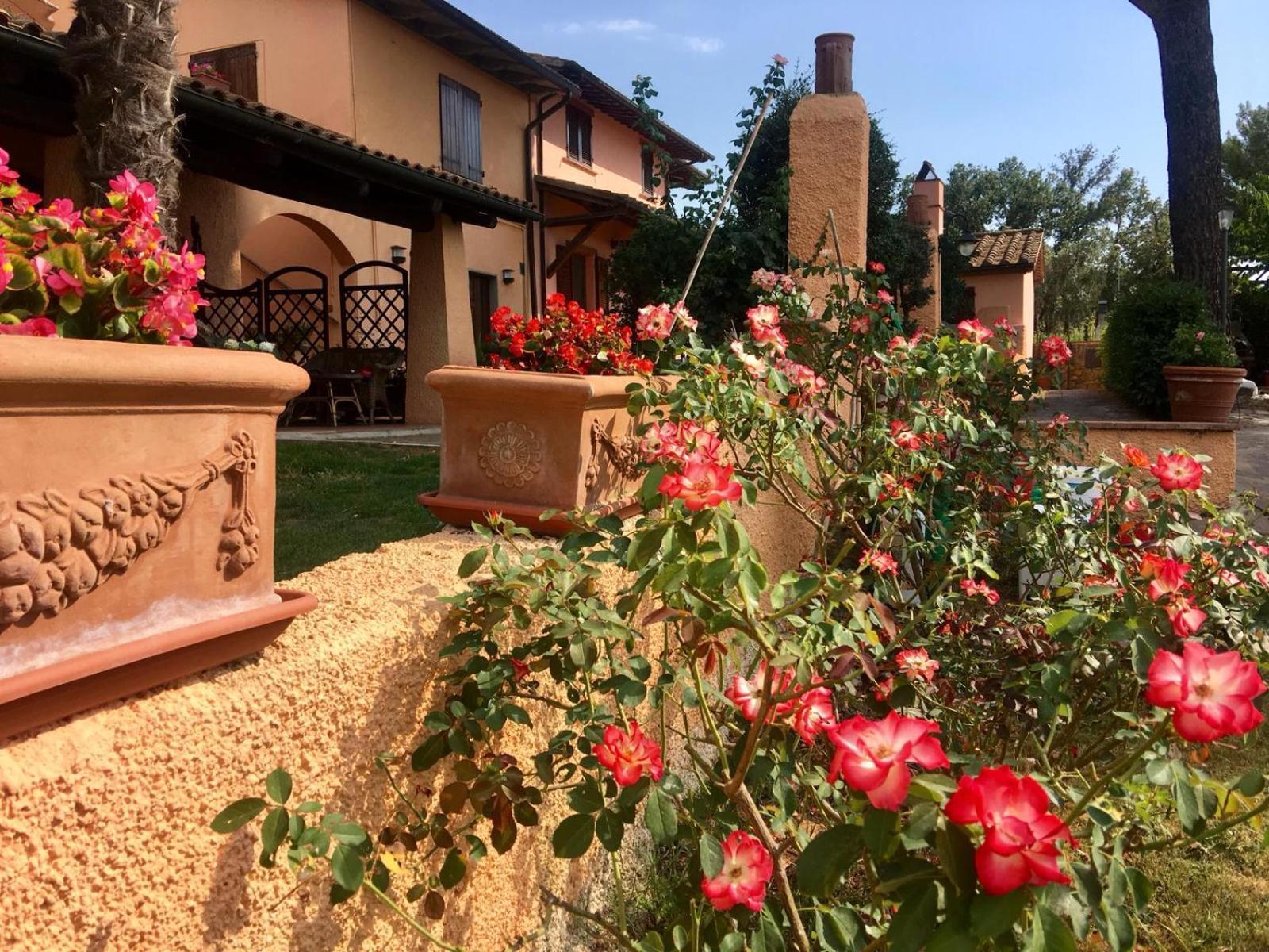 Agriturismo Terranera Scansano Buitenkant foto