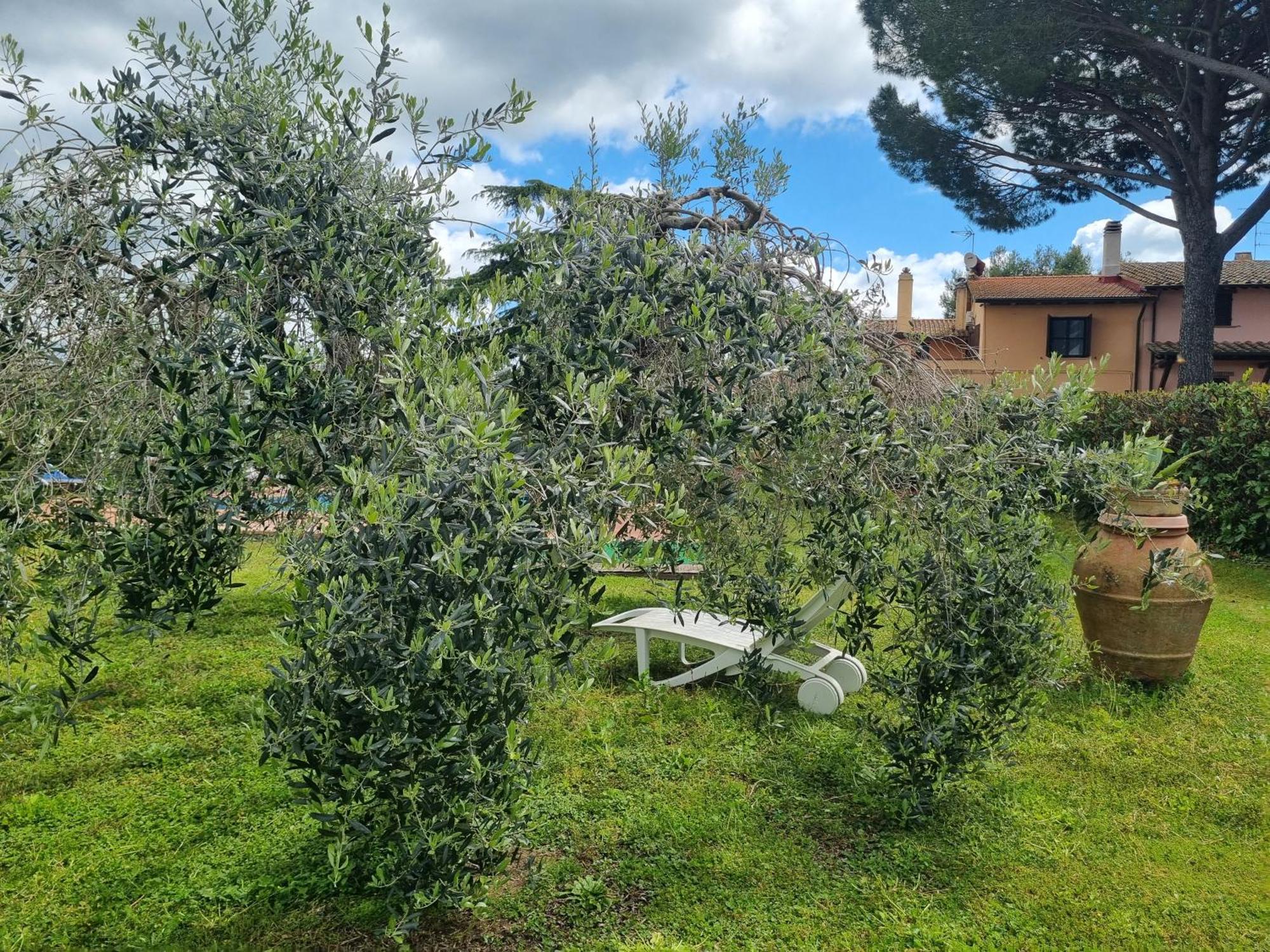 Agriturismo Terranera Scansano Buitenkant foto