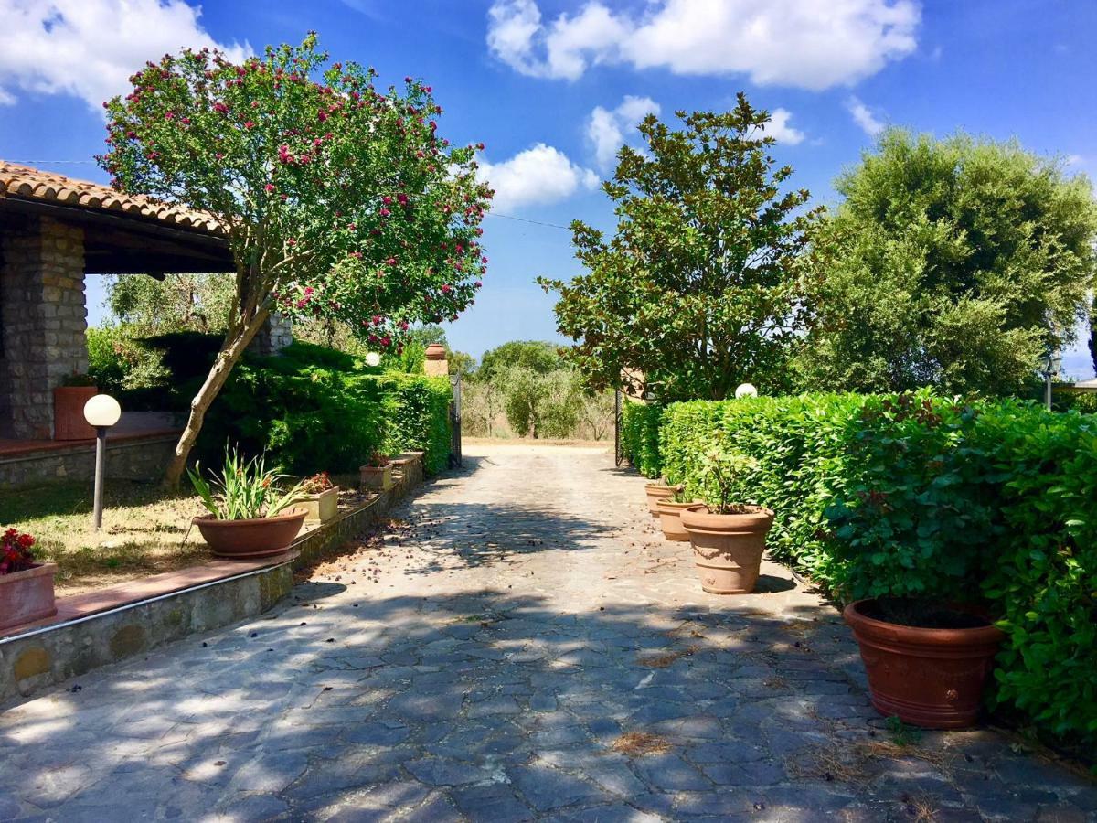 Agriturismo Terranera Scansano Buitenkant foto