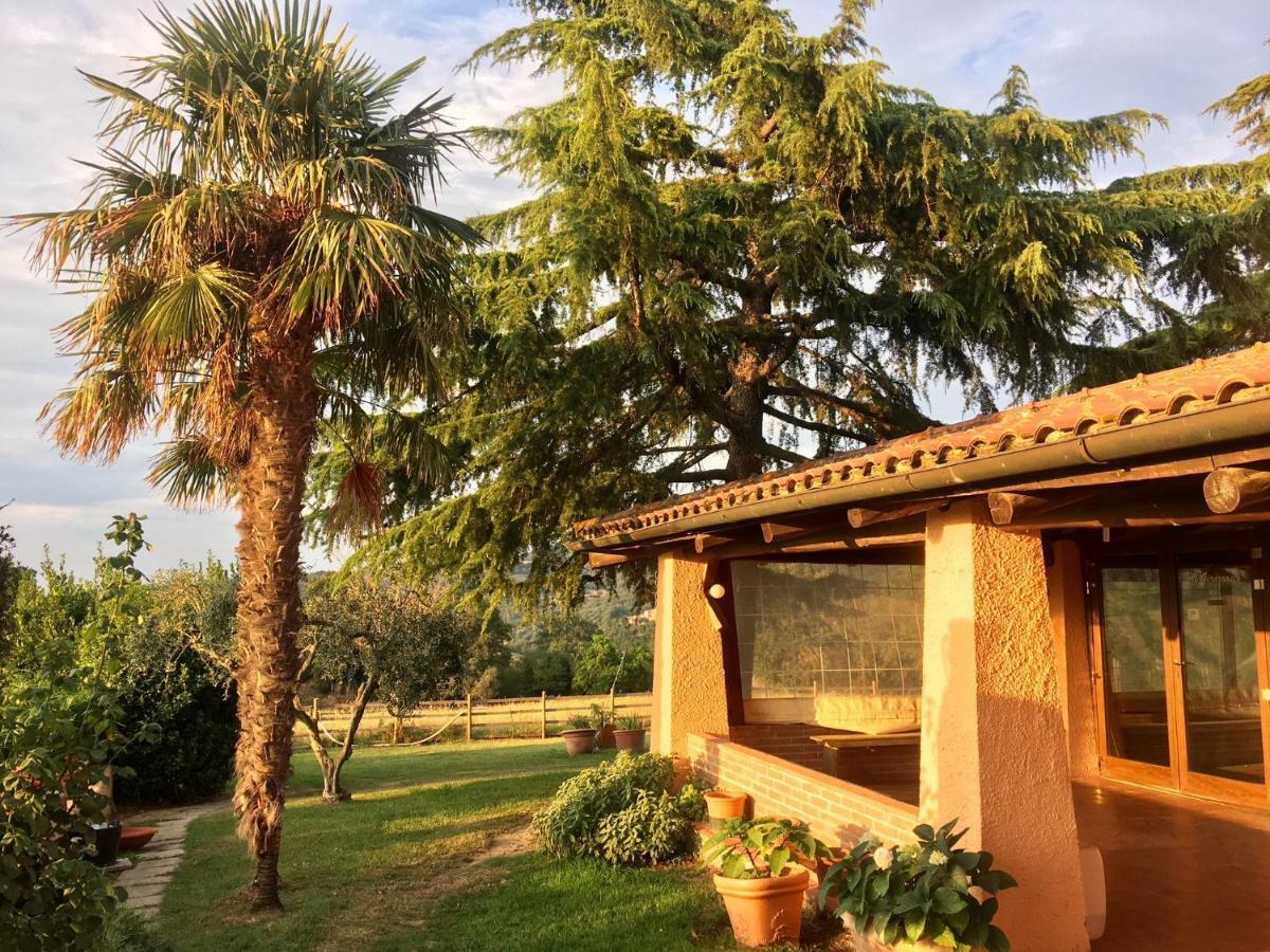 Agriturismo Terranera Scansano Buitenkant foto