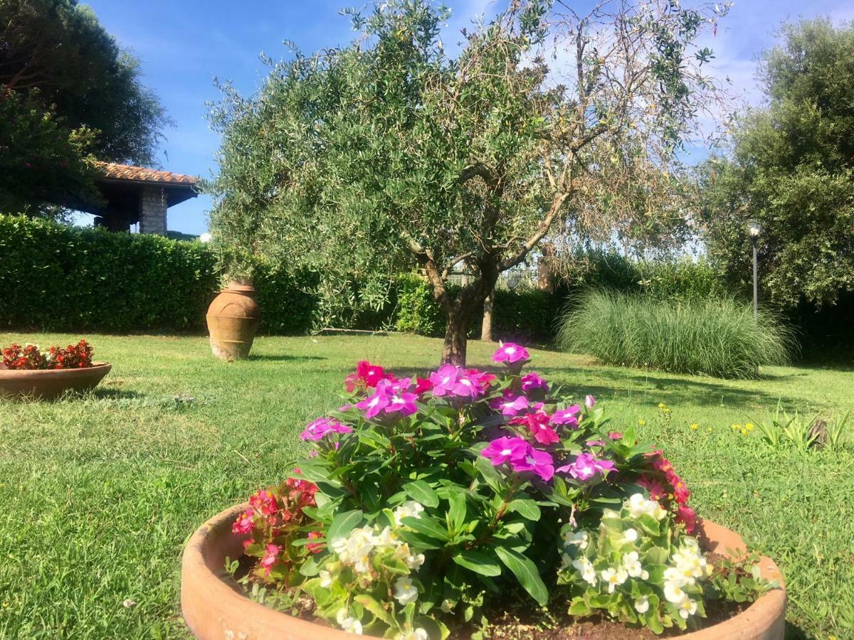 Agriturismo Terranera Scansano Buitenkant foto